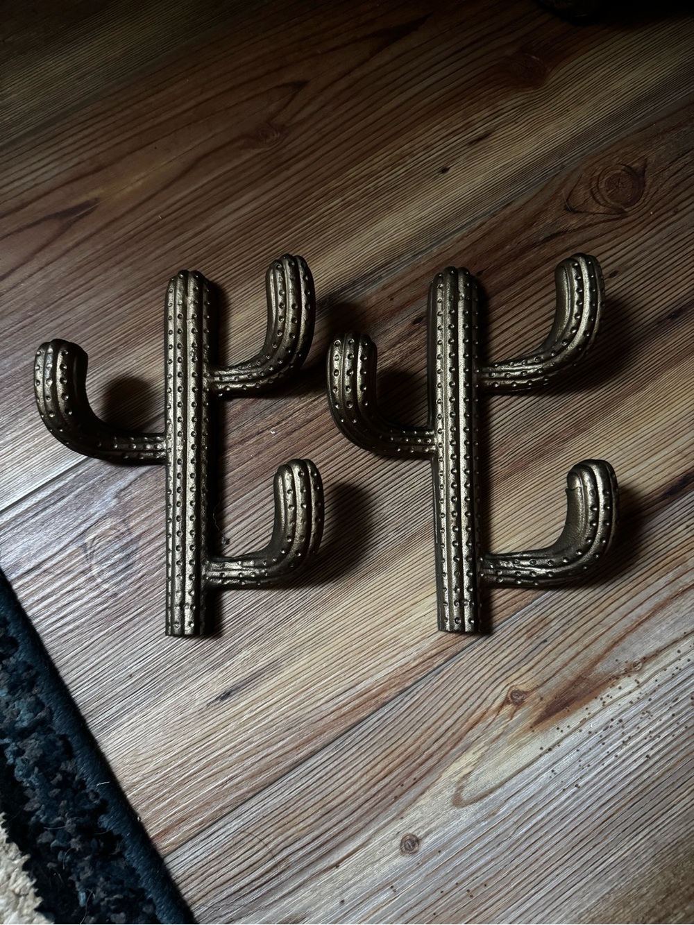 Decorative brass Saguro Cactus Wall Hooks - Pair